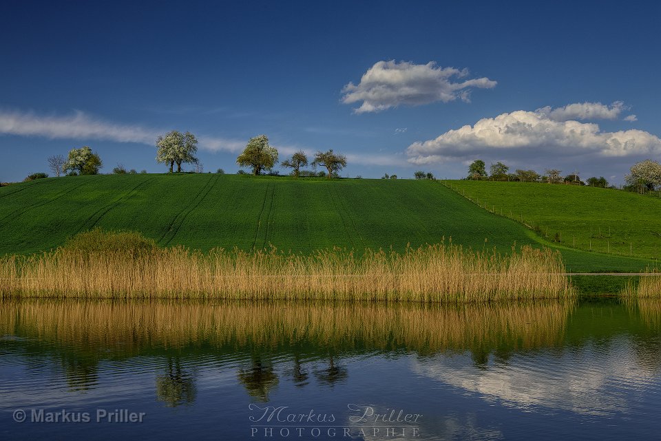 20150422 175739 Rundfahrt Salem und Bodensee 1920